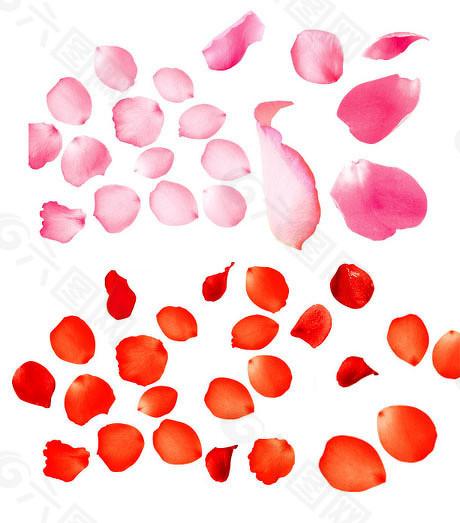 配资公司100强 科创板、创业板发行承销规则拟调整，网下打新江湖或将生变