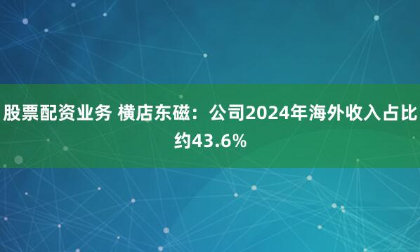 股票配资业务 横店东磁：公司2024年海外收入占比约43.6%